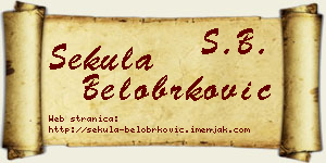 Sekula Belobrković vizit kartica